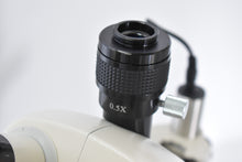 Carica l'immagine nel visualizzatore di Gallery, Kern Optics Mikroskop 02P 558, Zahntechnik