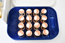 Charger l'image dans la galerie, Ducera Gold Keramikmassen