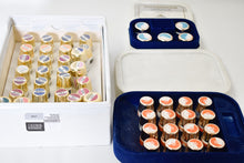 Charger l'image dans la galerie, Ducera Gold Keramikmassen